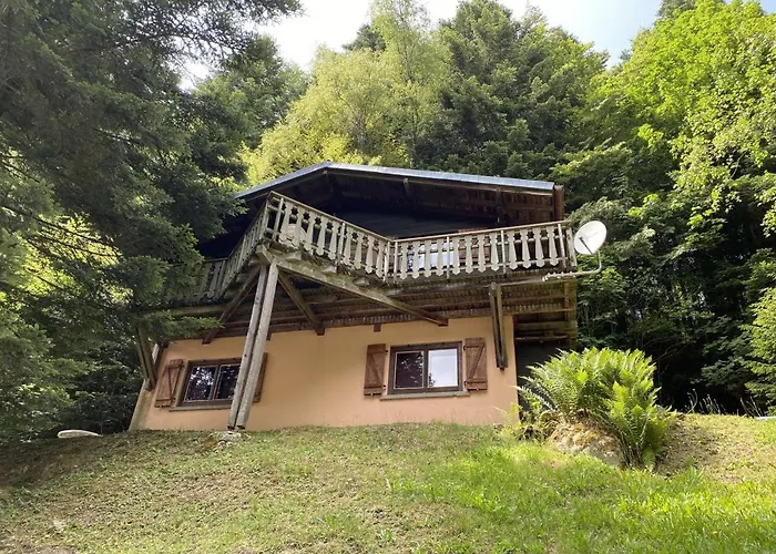 Le Trappeur En Bois *